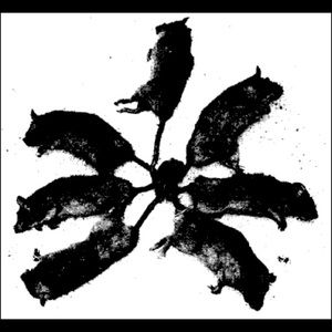 Meet your Posher, Logan